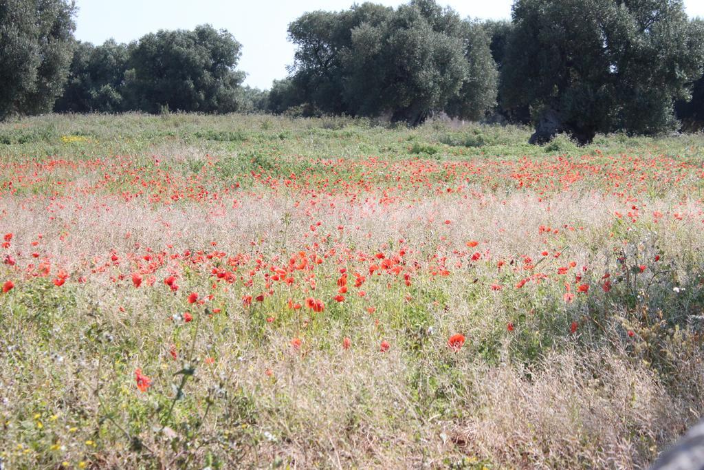 Masseria Valente Остуни Екстериор снимка